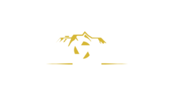 drones point of view
